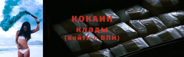 дживик Баксан